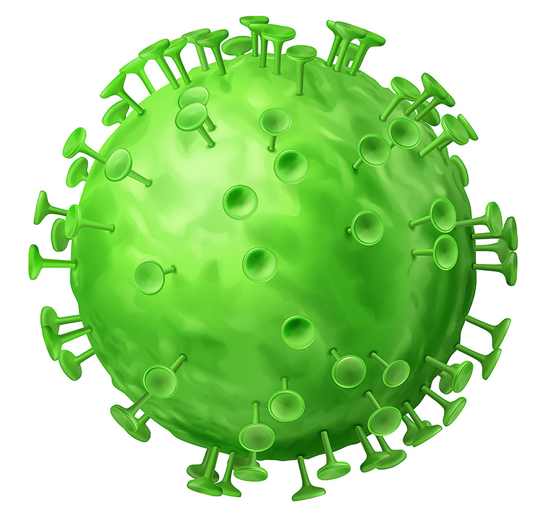 Lo Que Nos Ha Ensenado El Coronavirus Magisnet