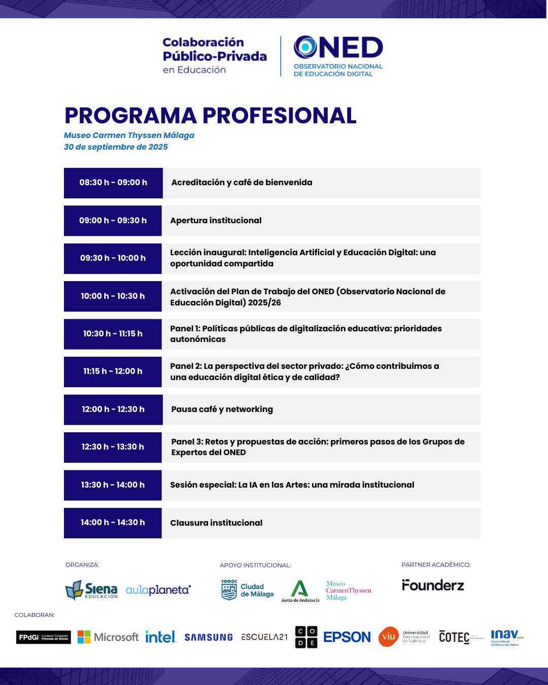 Colaboración Público-Privada Málaga